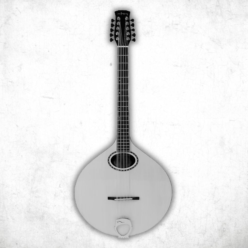 Cittern Strings